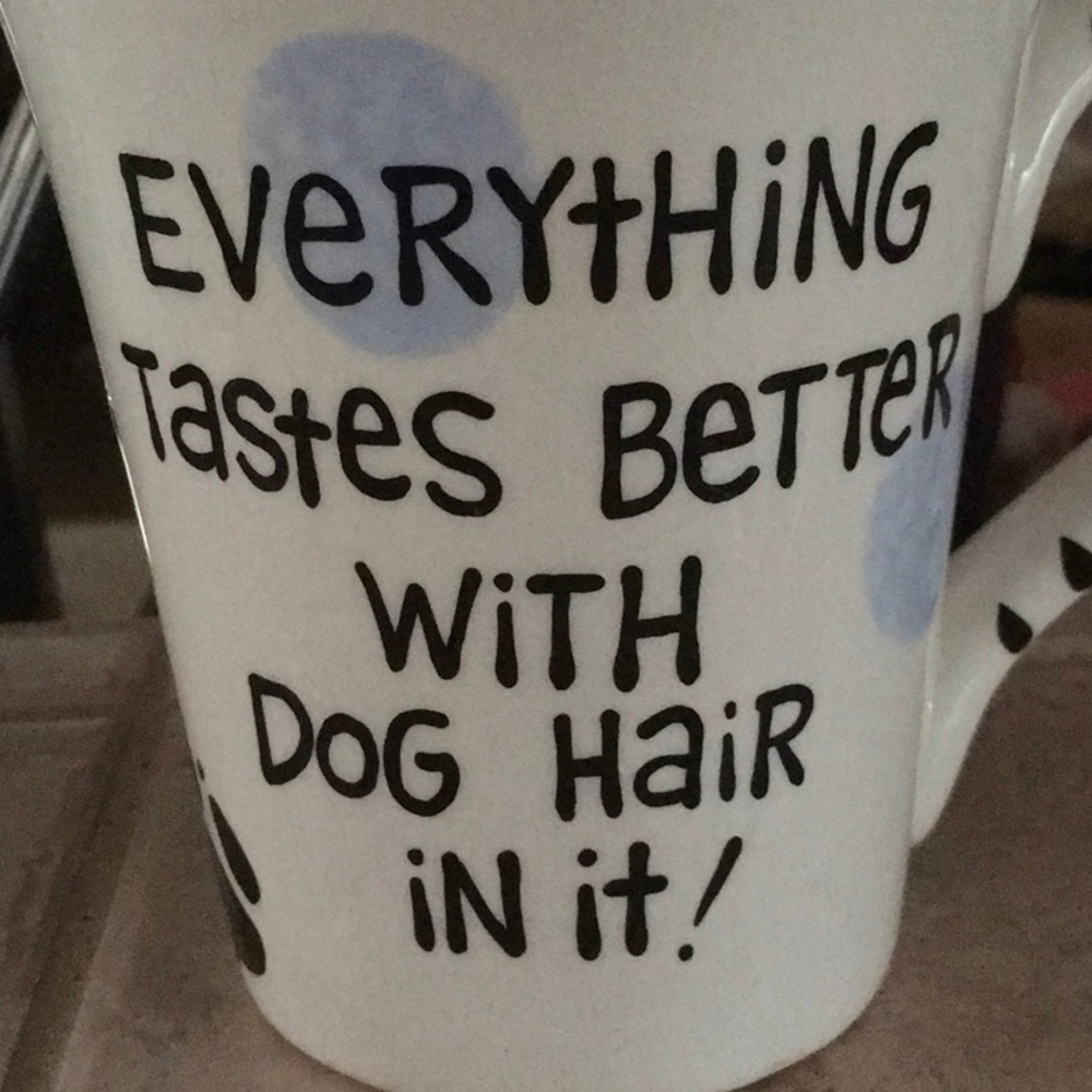 🐶🐶🐱🐱MULTI PET HOME 🐕🐩🐈🐾